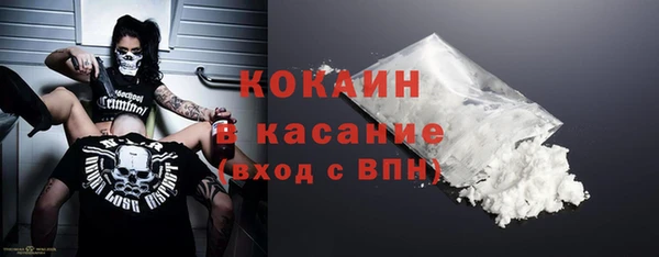 сатива Липки