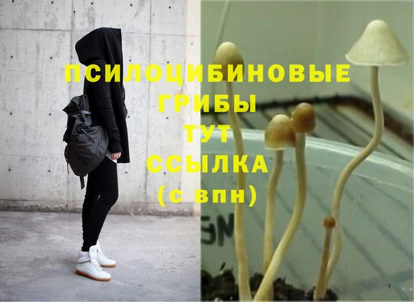 наркотики Лиски