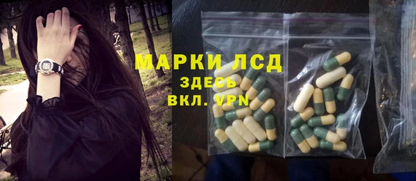 сатива Липки