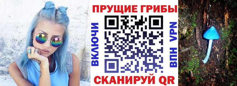 Псилоцибиновые грибы MAGIC MUSHROOMS  Купить  Петушки 